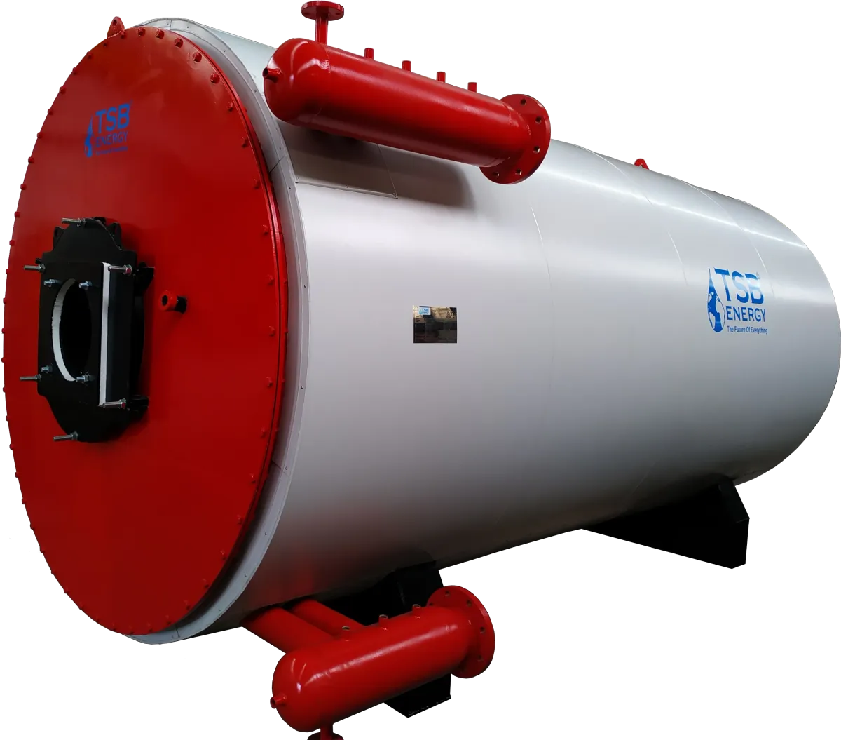 Liquid and gas-fired thermal oil heater