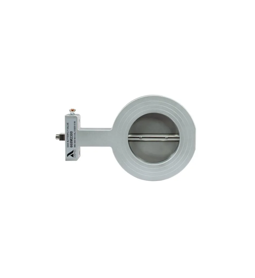SVG gaz klapesi