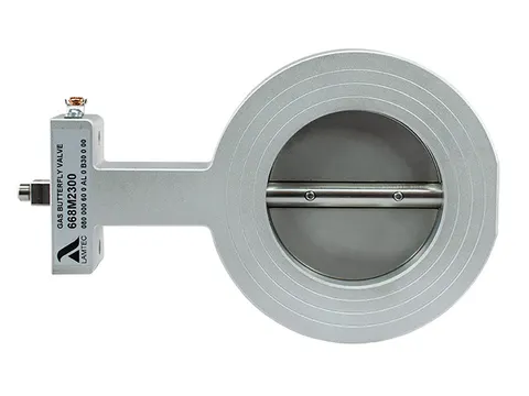 SVG gaz klapesi 2